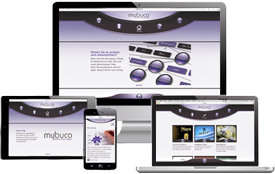 Web-Beratung von mybuco